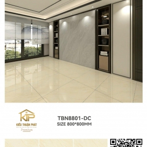 TBN8801