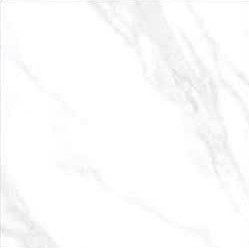 z6696326745566 5261b1fd70593a1f8408895b04922150