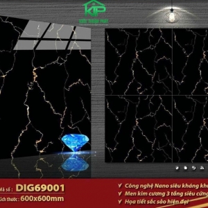 Granite DIG69001