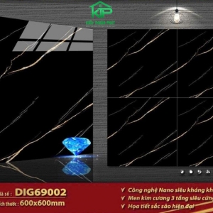 Granite DIG69002