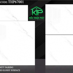 Porcelain tiles THP67001