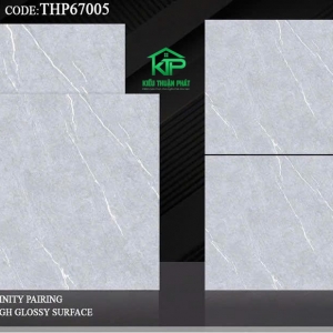 Porcelain tiles THP67005