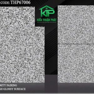 Porcelain tiles THP67006