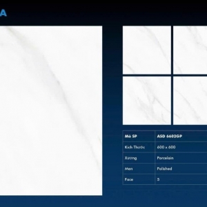 VIGLACERA ASD 6602GP