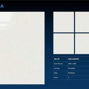 VIGLACERA ASD 6604GP