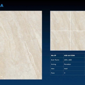 VIGLACERA ASD 6615GM