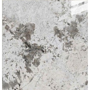 N88041R